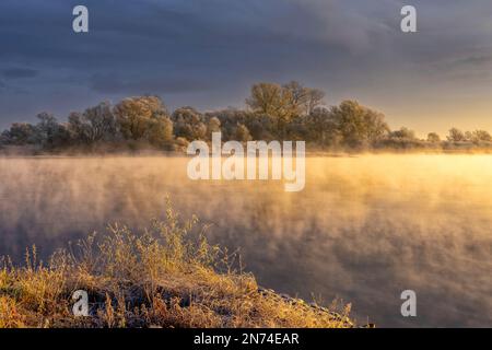 Ein frostiger und sonniger Wintermorgen auf der Elbe mit Nebel über dem Wasser in Bleckede/Brackede Stockfoto