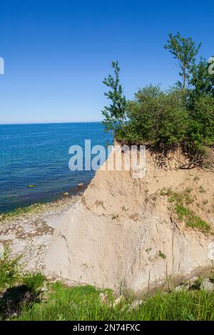 Brodtener Ufer Cliff, Lübeck Bay, Ostsee, Travemünde, Lübeck, Schleswig-Holstein, Deutschland, Europa Stockfoto