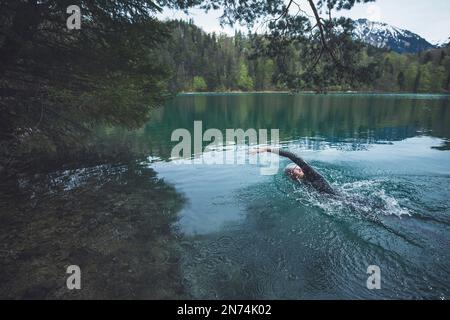 Professioneller Triathlet Schwimmen, Training in einem klaren Bergsee in Allgäu, Alatsee, Bayern, Deutschland Stockfoto