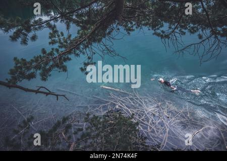 Professioneller Triathlet Schwimmen, Training in einem klaren Bergsee in Allgäu, Alatsee, Bayern, Deutschland Stockfoto