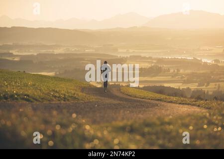 Profitriathleten laufen, Morgenatmosphäre, Sonnenaufgang, Auerberg, Allgäu, Bayern, Deutschland Stockfoto