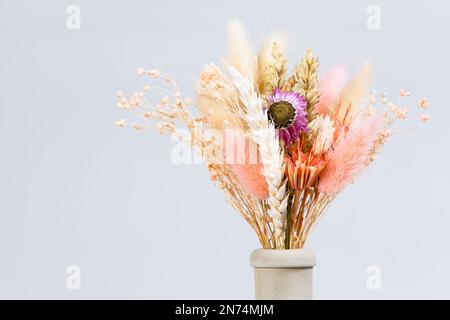Strauß getrockneter Blüten und Stacheln im Flaschenhals auf grauem Hintergrund mit Kopierraum Stockfoto