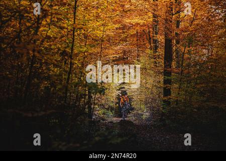 Mountainbiker in den Wäldern um Kaufbeuren, Bayern, Allgäu, Deutschland Stockfoto