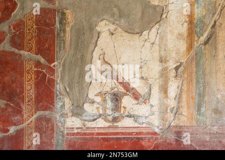 Oplontis, Italien, wunderschönes farbenfrohes Fresko mit einem Pfau in der Villa Oplontis Stockfoto