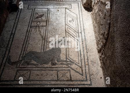 Pompeji, Italien, Ein Hund aus Mosaiksteinen am Boden, der eine alte Villa in den Ruinen von Pompeji, Süditalien, bewacht Stockfoto