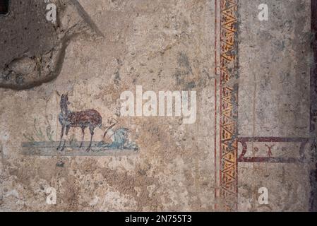 Malerische antike Fresken in einem Raum einer Villa in Pompeji, Süditalien Stockfoto