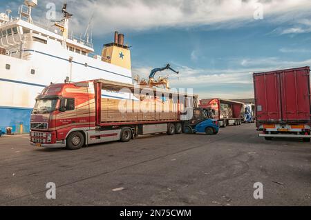 LKWs werden am Kai in IJmuiden Niederlande mit Packungen gefrorenen Fisches beladen Stockfoto