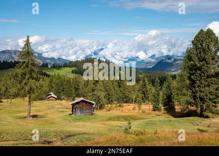 Typische Alp mit Heuschuppen in den Dolomiten im Naturpark Fanes Sennes Prags, Südtirol in Italien Stockfoto