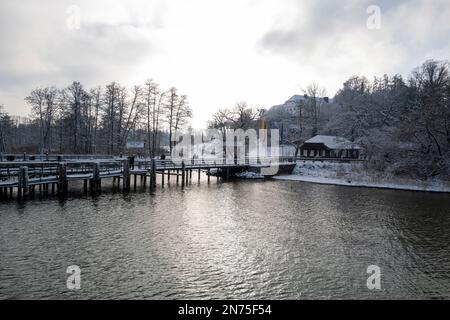 Winter, Advent, Chiemsee, Wintergarten, Bayern Stockfoto