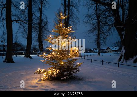 Fraueninsel, Chiemsee, Bayern, Winter, Advent, Wallfahrtsort, Weihnachtsbaum Stockfoto