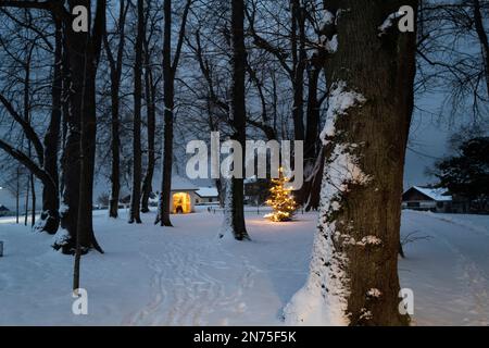 Fraueninsel, Chiemsee, Bayern, Winter, Advent, Wallfahrtsort, Weihnachtsbaum Stockfoto