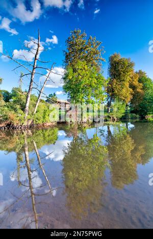 Fränkische Saale, Abschlussfeier, Reflexion, Herbst, Bad Kissingen, Franken, Bayern, Deutschland, Europa Stockfoto
