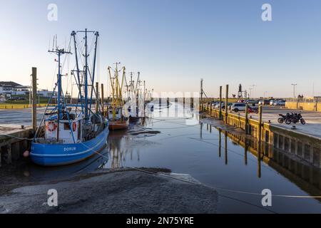 Fischschneider im Hafen Dorum-Neufeld, Ebbe, Bezirk Cuxhaven, Niedersachsen, Stockfoto