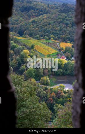 Deutschland, Hessen, Südhessen, Südhessen Bergstraße, Heppenheim, Blick von Starkenburg auf die Weinberge Stockfoto