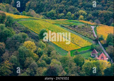 Deutschland, Hessen, Südhessen, Südhessen Bergstraße, Heppenheim, Blick von Starkenburg auf die Weinberge Stockfoto