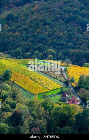 Deutschland, Hessen, Südhessen, Südhessen Bergstraße, Heppenheim, Blick von Starkenburg auf die Weinberge Stockfoto
