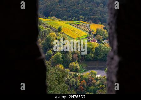 Deutschland, Hessen, Südhessen, Südhessen Bergstraße, Heppenheim, Blick von Starkenburg auf die Weinberge Stockfoto