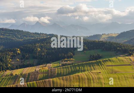 Blick auf das Tatra-Gebirge vom Aussichtspunkt auf Durszatyn. Stockfoto