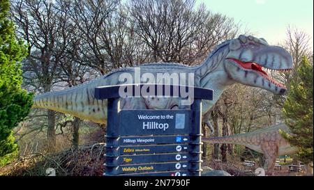 das animatronische Modell des Tyrannosaurus rex nannte sich oft T. rex oder umgangssprachlich T-Rex auf der Dinosaurierausstellung im Edinburgh Zoo Hilltop Stockfoto