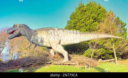 das animatronische Modell des Tyrannosaurus rex nannte sich oft T. rex oder umgangssprachlich T-Rex auf der Dinosaurierausstellung im Edinburgh Zoo Hilltop Stockfoto