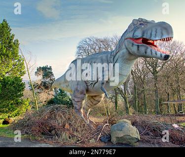 das animatronische Modell des Tyrannosaurus rex nannte sich oft T. rex oder umgangssprachlich T-Rex auf der Dinosaurierausstellung im Edinburgh Zoo Hilltop Stockfoto