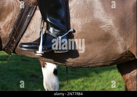 Pferdereiter bei einem lokalen Jagdtreffen am zweiten Weihnachtsfeiertag, eine Weihnachtstradition in Großbritannien Stockfoto