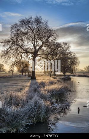 Sonnenaufgang im Februar über einem eisigen Teich im wunderschönen Buschpark in der Nähe von London Stockfoto