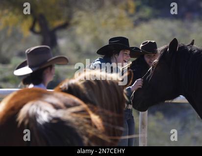 Phoenix, Usa. 09. Februar 2023. Am Freitag, den 10. Februar 2023, kümmern sich Wrangler um die Pferde in den Ponderosa Stables in Phoenix, Arizona. Die Philadelphia Eagles spielen die Kansas City Chiefs im Super Bowl LVII im State Farm Stadium in Glendale, Arizona, am Sonntag, den 12. Februar 2023. Foto: John Angelillo/UPI Credit: UPI/Alamy Live News Stockfoto