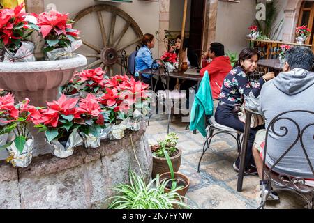 San Miguel de Allende Guanajuato Mexiko, historisches Zentrum Zona Centro, Bugambilia Restaurante, Tische Stühle Poinsettias, männliche Männer, wo Stockfoto