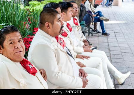 San Miguel de Allende Guanajuato Mexiko, historisches Zentrum Zona Centro, Jardin Allende plaza Principal, Mitglieder Mariachi Band Musiker, t Stockfoto