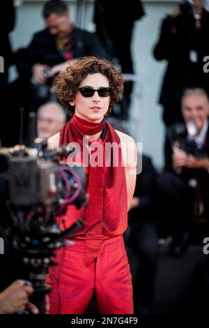 Il Cast di 'Bones and All' sul Red Teppich di Venezia 79, La Biennale di Venezia 2022, Venezia, Italien Stockfoto