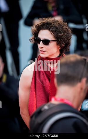 Il Cast di 'Bones and All' sul Red Teppich di Venezia 79, La Biennale di Venezia 2022, Venezia, Italien Stockfoto