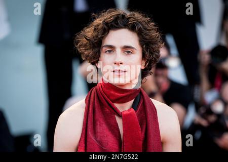 Il Cast di 'Bones and All' sul Red Teppich di Venezia 79, La Biennale di Venezia 2022, Venezia, Italien Stockfoto