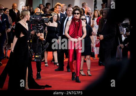 Il Cast di 'Bones and All' sul Red Teppich di Venezia 79, La Biennale di Venezia 2022, Venezia, Italien Stockfoto