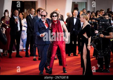 Il Cast di 'Bones and All' sul Red Teppich di Venezia 79, La Biennale di Venezia 2022, Venezia, Italien Stockfoto