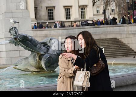 London, Großbritannien. 10. Februar 2023 Touristenattraktion am Trafalgar Square, London, Großbritannien. Kredit: Siehe Li/Picture Capital/Alamy Live News Stockfoto