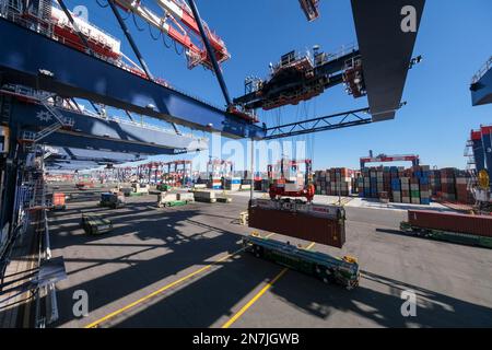 Computergesteuerte Frachtkräne heben Container am Long Beach Container Terminal (LBCT) im Hafen von Long Beach schnell von Schiffen auf emissionsfreie automatisierte Führungsfahrzeuge. Die Investition in Höhe von $2,5 Mrd. LBCT, die es einem der weltweit führenden Betreiber von Hafenterminals ermöglicht hat, die Emissionen erheblich zu senken und einen „Netto-Nullpunkt“ in greifbarer Nähe zu haben. Auf dieser Tour erfahren Sie außerdem zum ersten Mal mehr über ein Projekt im Wert von $30 Millionen US-Dollar bei LBCT zur Einführung emissionsfreier Frachtumschlagsgeräte und einen exklusiven Einblick in die Pläne von LBCT zur vollständigen Dekarbonisierung des Betriebs bis 2030. Stockfoto