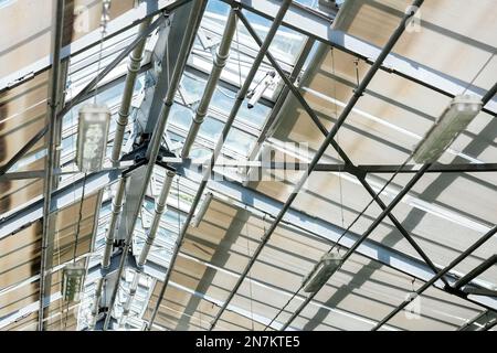 Glasdecke des zeitgenössischen Gewächshaus. Struktur von Stahl Dachrahmen. Stockfoto