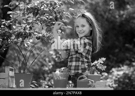 Mädchen-Macht. Porträt eines Kindergärtners, der auf dem Bauernhof geerntet wird. Glücklicher kleiner Bauer, der Spaß auf dem Feld hat. Kleinkinder arbeiten im Blumenpark. Stockfoto