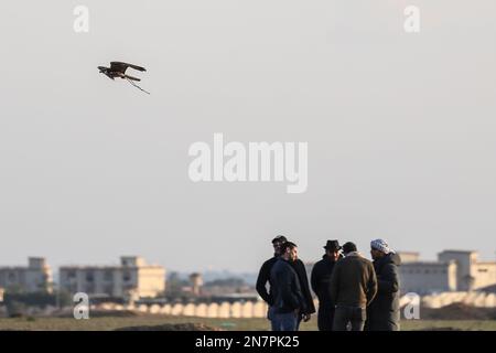 Borg El Arab, Ägypten. 10. Februar 2023. Ein Falke fliegt während des vom Egypt Falconers Club in der Wüste von Borg al-Arab bei Alexandria organisierten Horus-Rennens um Greifvögel davon. Das Rennen ist nach dem alten ägyptischen falkenköpfigen gott „Horus“ benannt und bringt Falkner aus ganz Ägypten, um die Fähigkeiten ihres Raptors in der Jagd und Fluggeschwindigkeit zu zeigen. Kredit: Gehad Hamdy/dpa/Alamy Live News Stockfoto