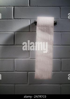 Rolle des toilettenpapiers an der Halterung, die an der Ziegelwand befestigt ist Stockfoto