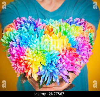 Der Mann hält einen Strauß aus farbigen Chrysanthemen, herzförmigen Strauß. Stockfoto