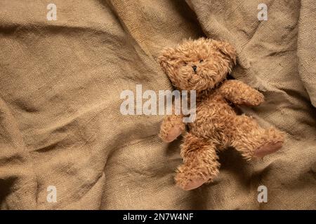 teddy Brauner Babybär liegt auf der Fliege, Platz für Text Stockfoto