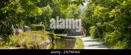 Llangollen Wales united Kingdom Juli 16 2022 Ein Mann und eine Frau gehen entlang eines Kanalwegs während eines farbenfrohen Sommertags, romantisches Konzept, Paar verliebt Stockfoto