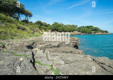 Ile d'Aix Charente Maritime Atlantic Coast Frankreich zerklüftete felsige Küste und türkisfarbener Atlantik und Bäume an den Küsten im Sommer Stockfoto