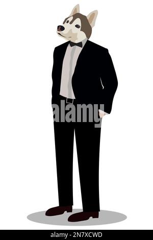 Ein sibirischer Husky in einem klassischen Anzug mit Jacke Stock Vektor