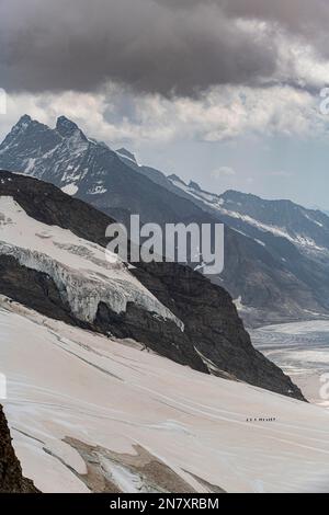 Blick über den Aletsch-Gletscher vom Jungfraujoch, Berner Alpen, Schweiz Stockfoto