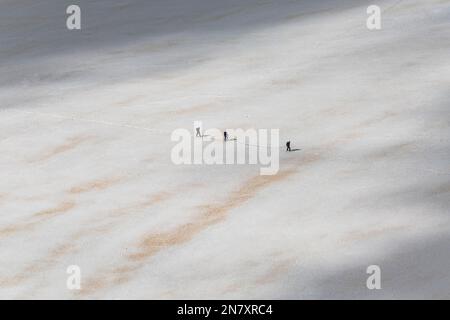 Blick über den Aletsch-Gletscher vom Jungfraujoch, Berner Alpen, Schweiz Stockfoto