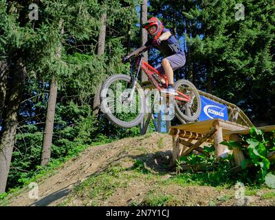 Jugend auf Mountainbike, mit Downhill Bike im Fahrradpark Geisskopf, Bayerischer Wald, Bayern, Deutschland Stockfoto