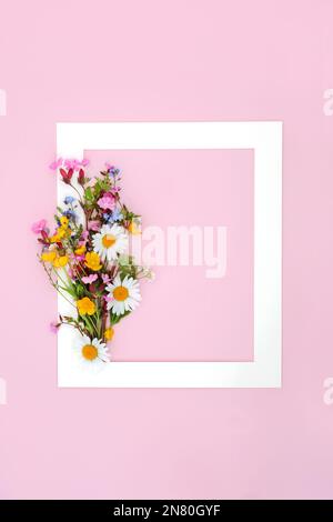 Europäische Wildblumen-Pose abstrakter Rand auf pinkfarbenem Hintergrund. Minimalistischer abstrakter Rahmen, wunderschöne Frühlingszusammensetzung für Muttertag, Geburtstag. Stockfoto